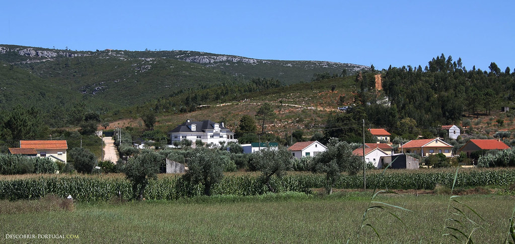 Paisagem de serra e oliveiras